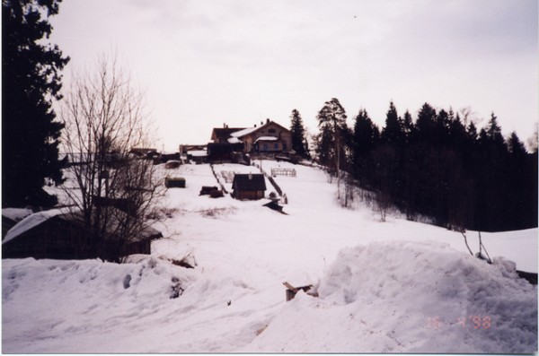 Original image
