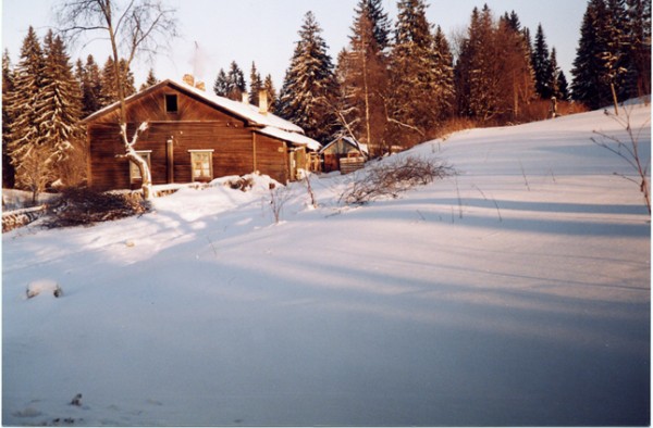 Original image