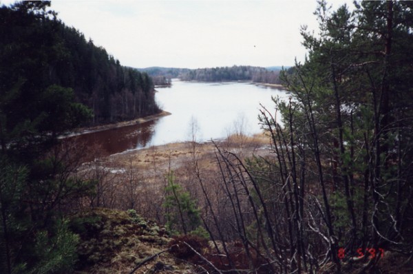Original image